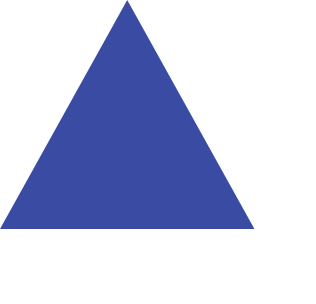 Hire flitter app developers triangles